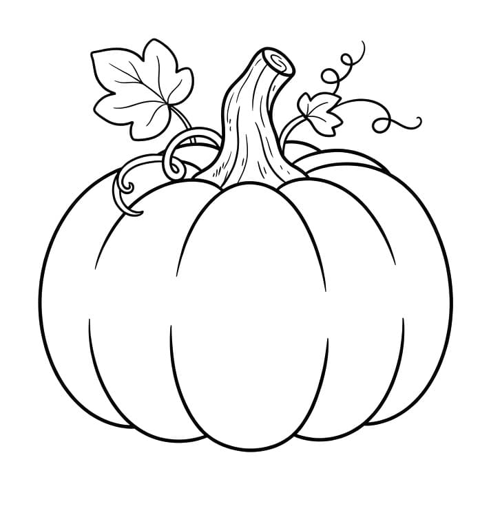 Pompoen voor de herfst