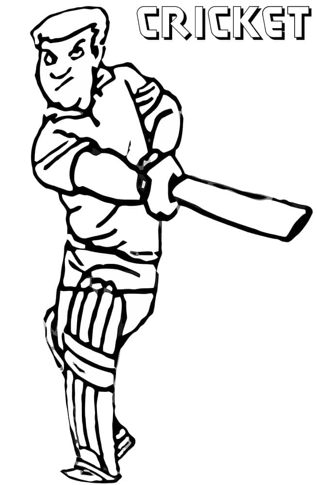 Printbare Cricket Illustratie