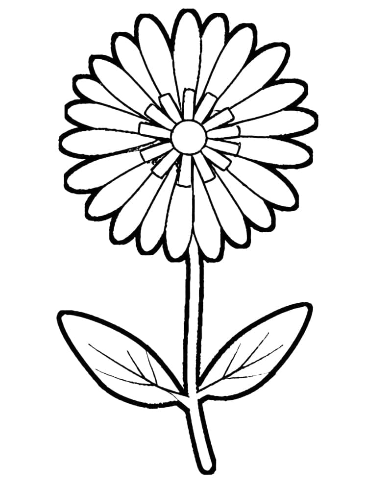 Printbare afbeelding van een bloem