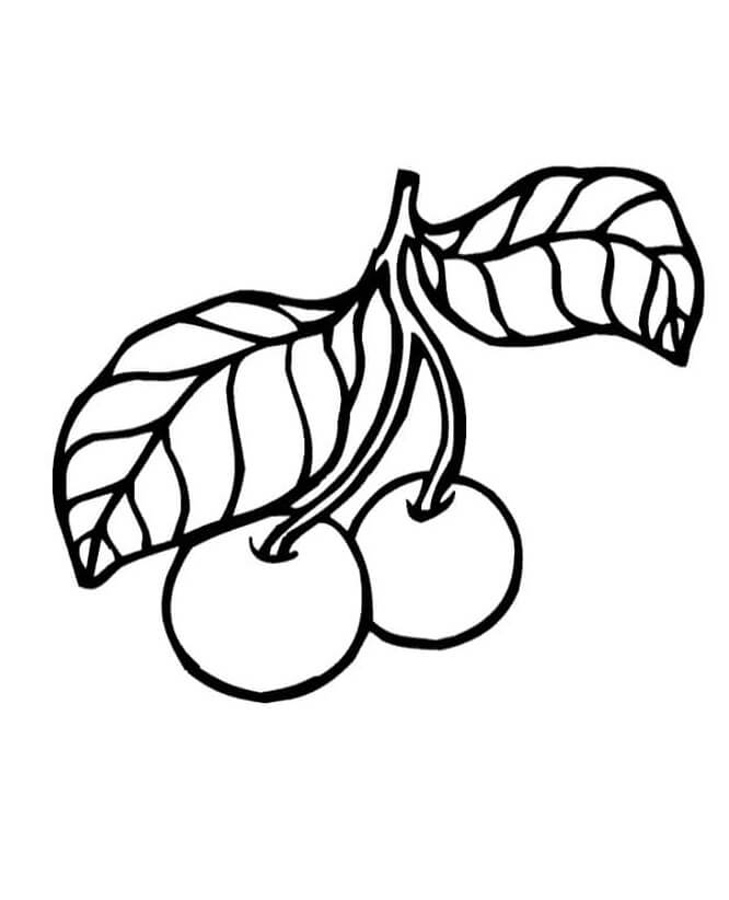 Printbare afbeelding van fruit