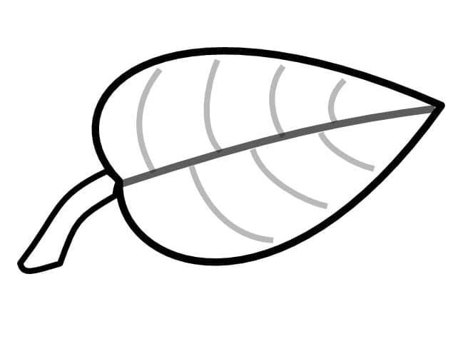 Printbare blad afbeelding
