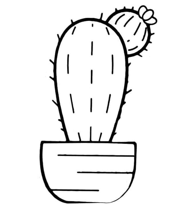 Printbare cactus voor kinderen