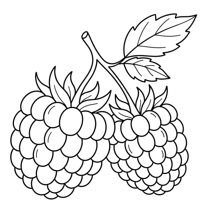 Printbare framboos