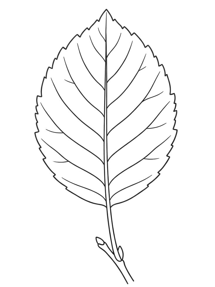 Realistisch blad
