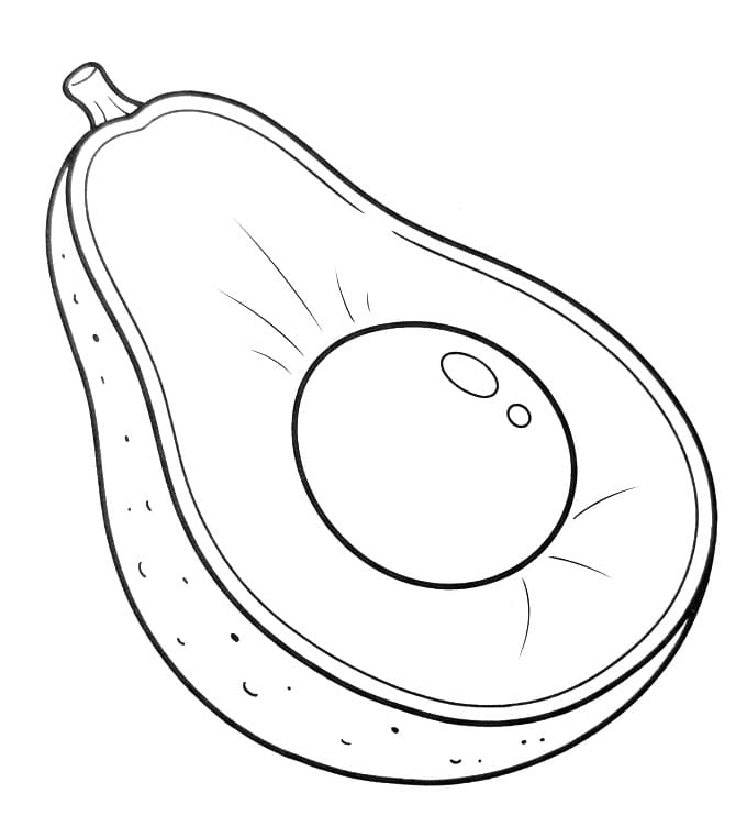 Realistische avocado