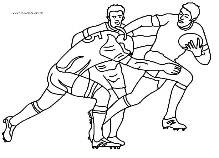 Rugbysport