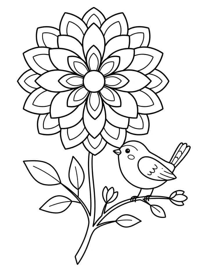Schattige Dahlia