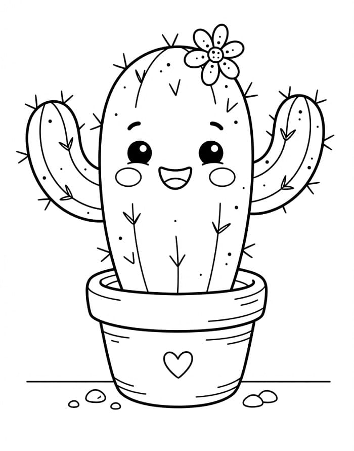 Schattige cactus