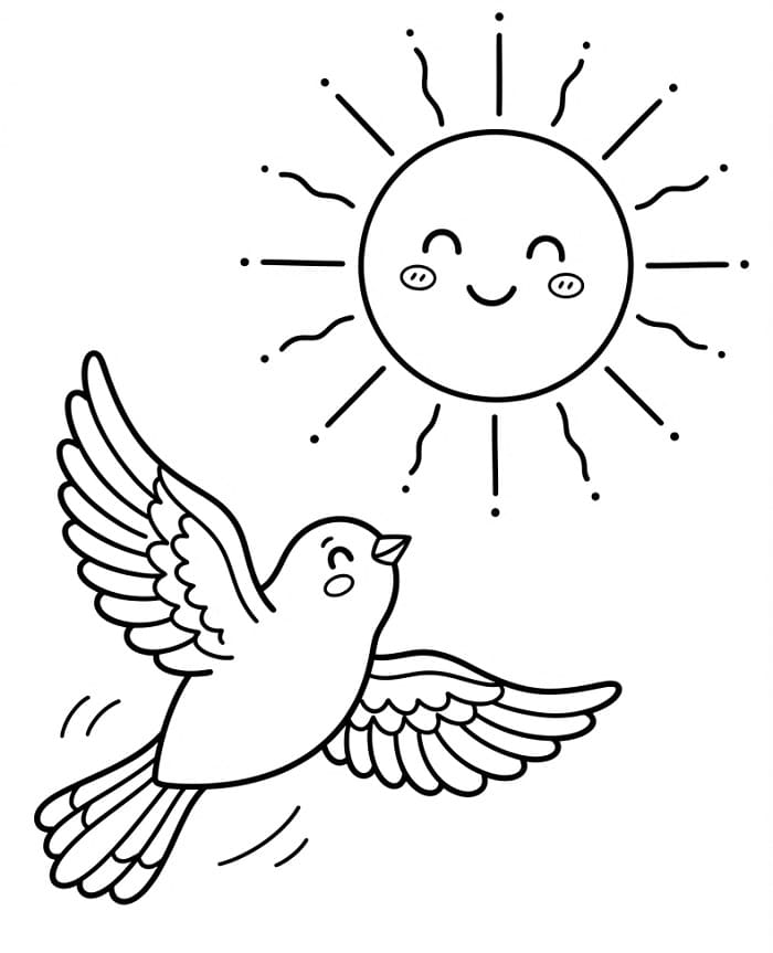 Schattige zon