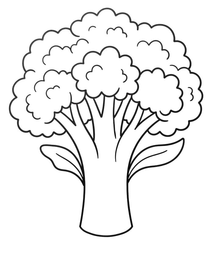 Simpele broccoli