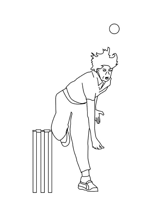 Sport Cricket