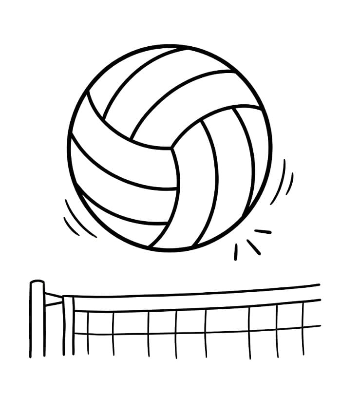 Sport Volleybal