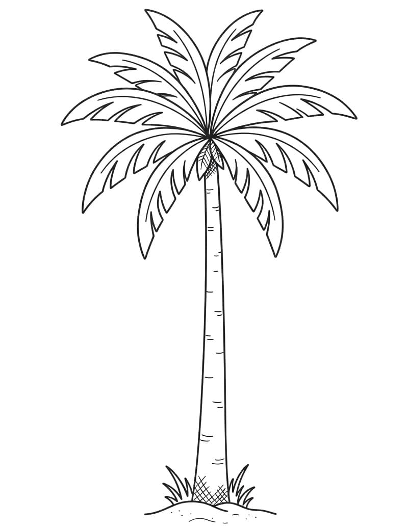 Stoere Palmboom