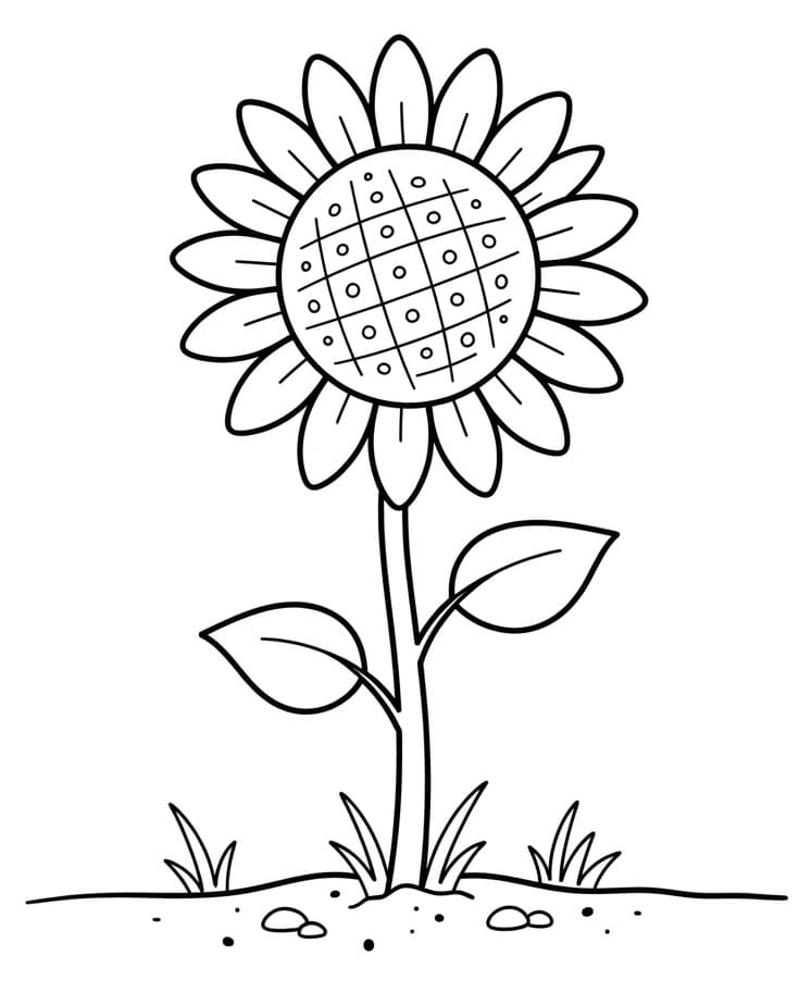 Stoere zonnebloem