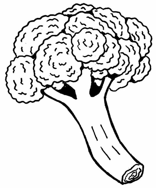Te printen broccoli voor kinderen