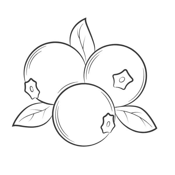 Te printen fruit gratis