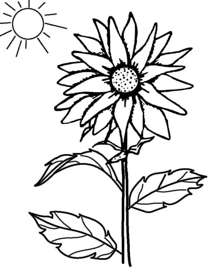 Te printen zonnebloem gratis