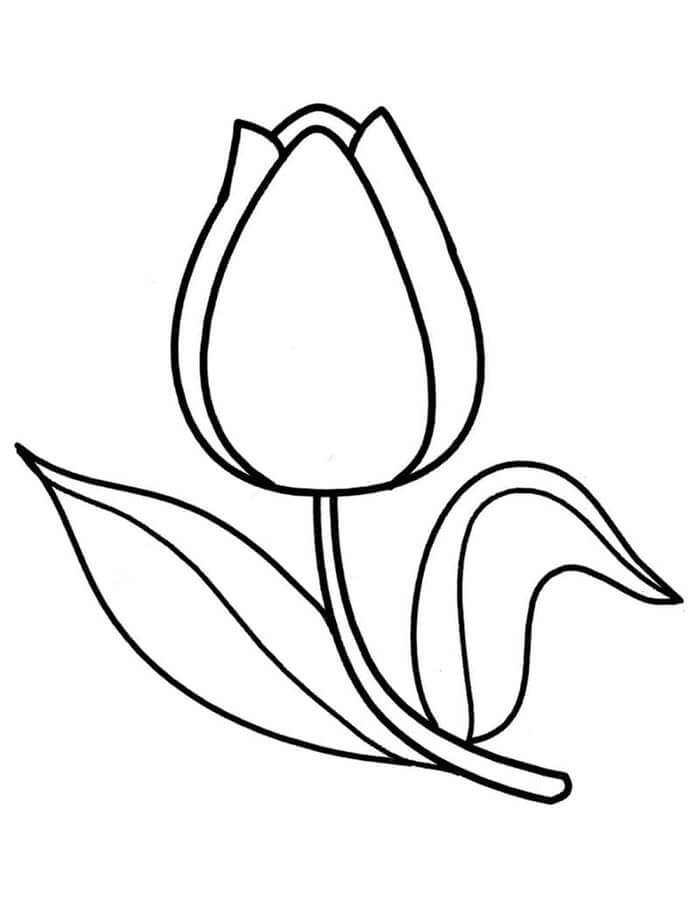 Tulp 1
