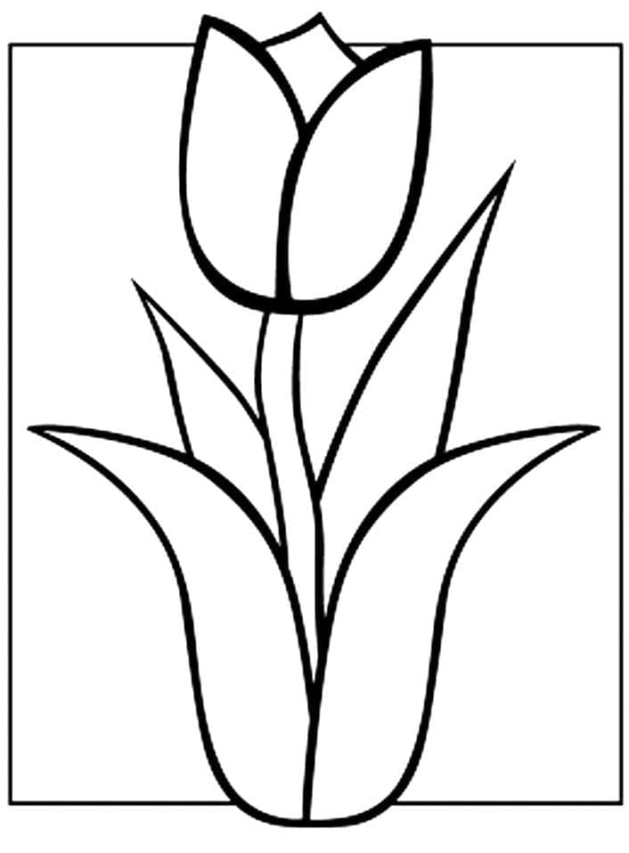Tulp afdrukbaar