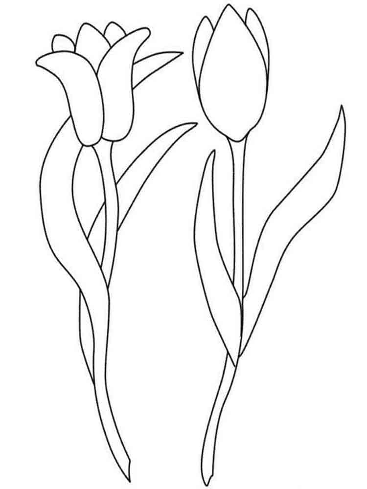 Tulp gratis printbaar