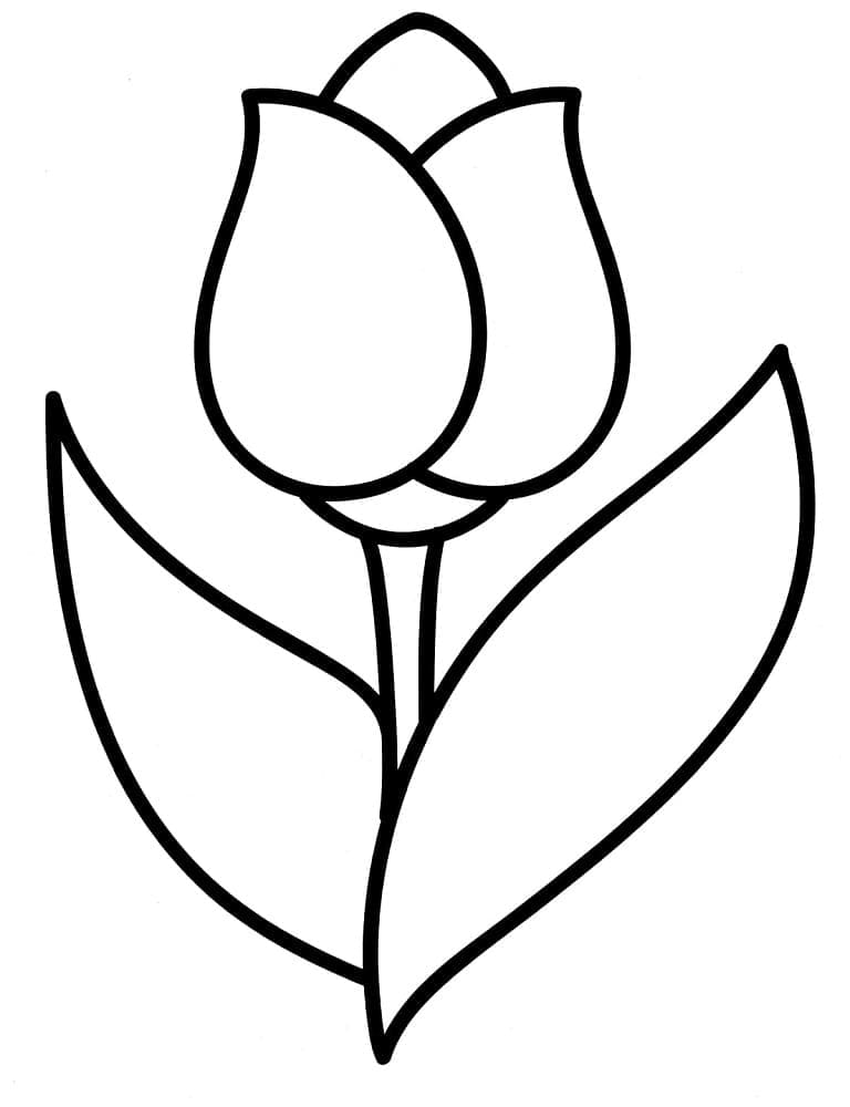 Tulp gratis voor kinderen