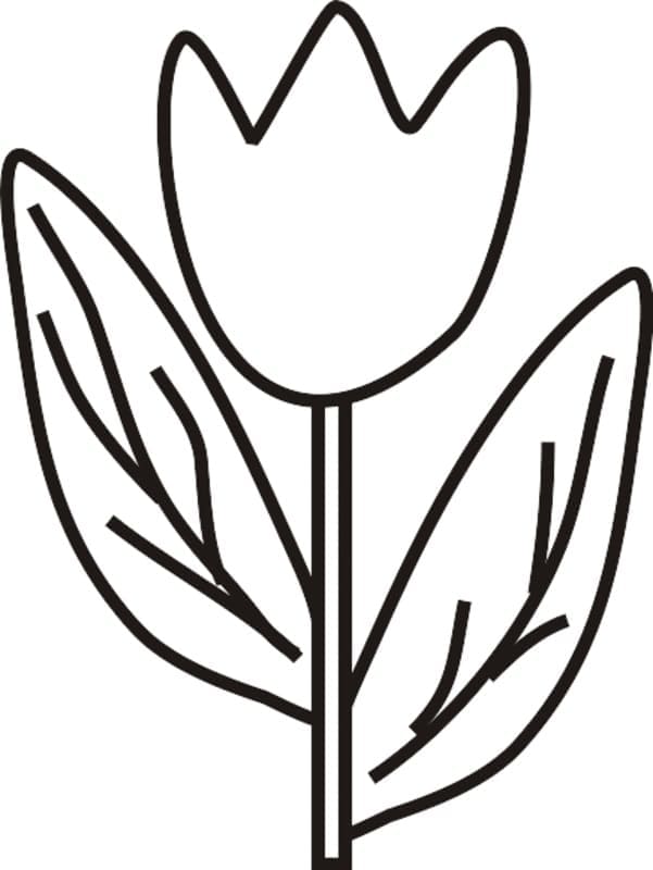 Tulp om te printen