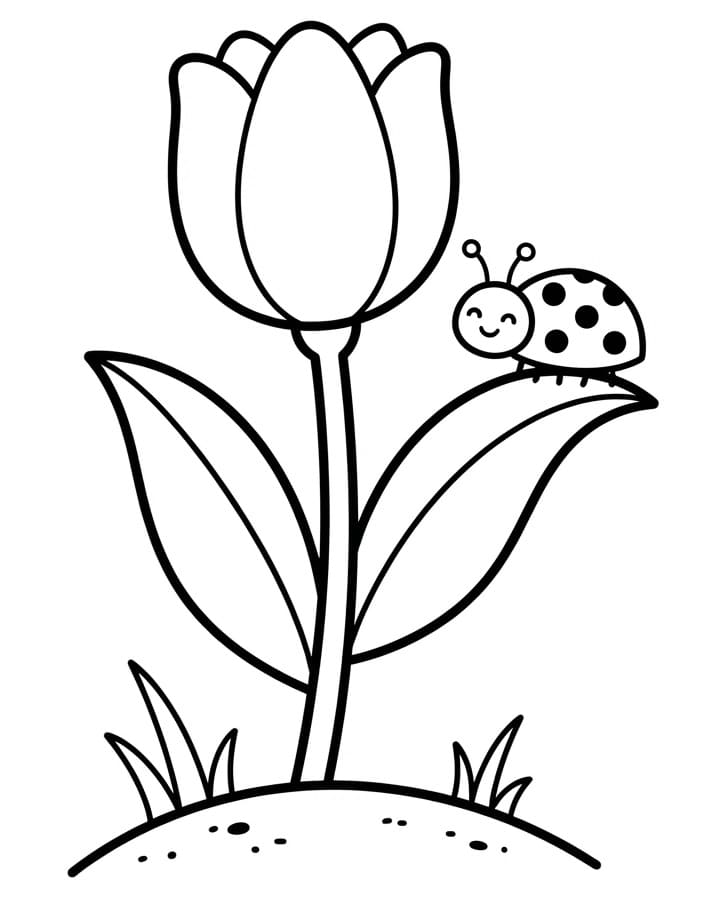 Tulp printen
