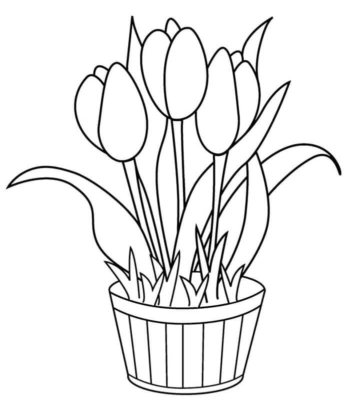 Tulp voor kinderen van 1 jaar