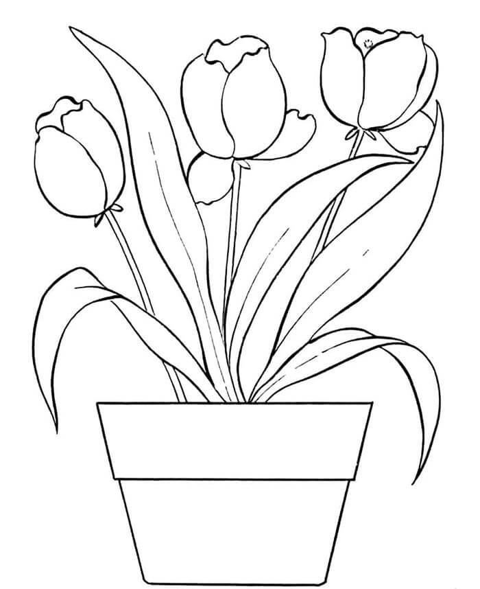 Tulp voor kinderen van 2 jaar