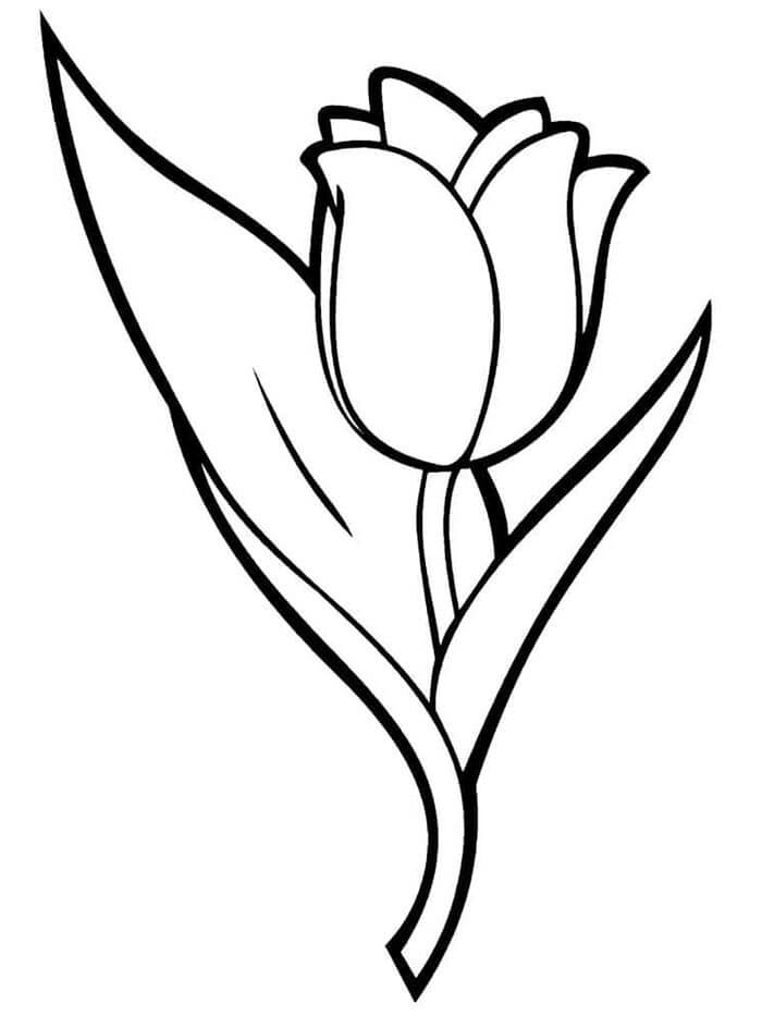 Tulp voor kinderen van 4 jaar