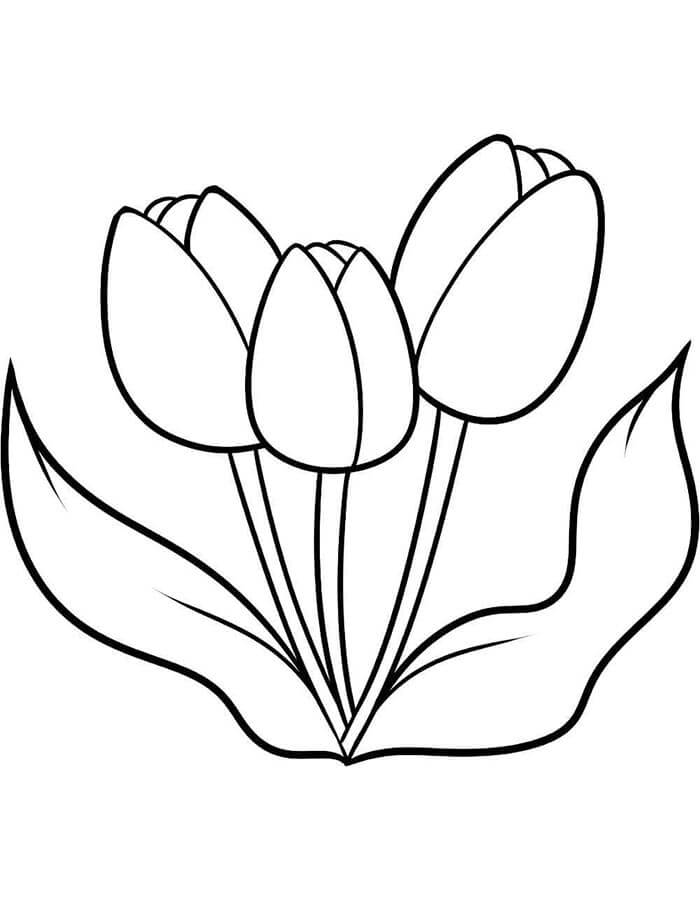 Tulp voor kinderen van 5 jaar