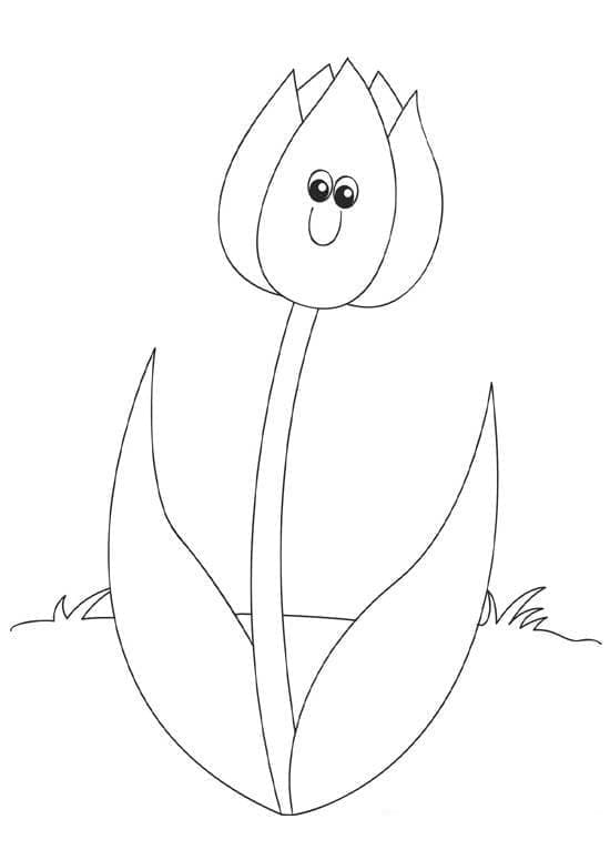 Tulp voor kinderen