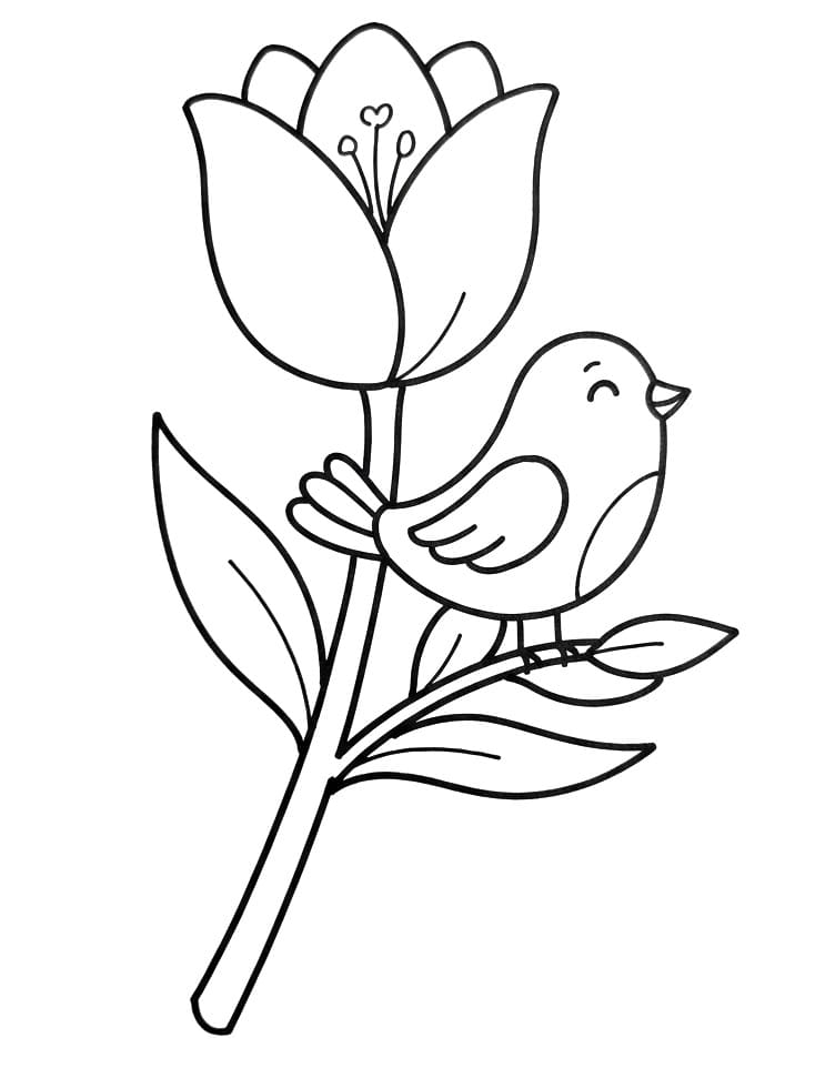 Tulpbloem