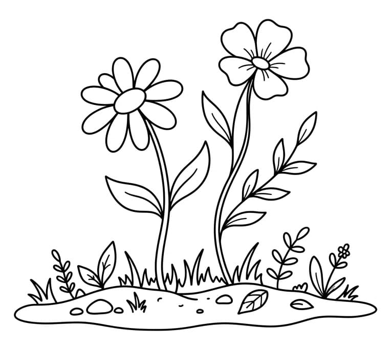 Twee bloemen