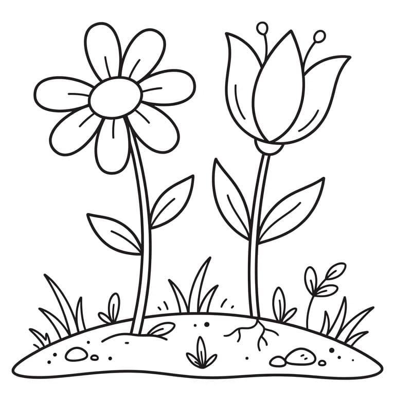 Twee schitterende bloemen