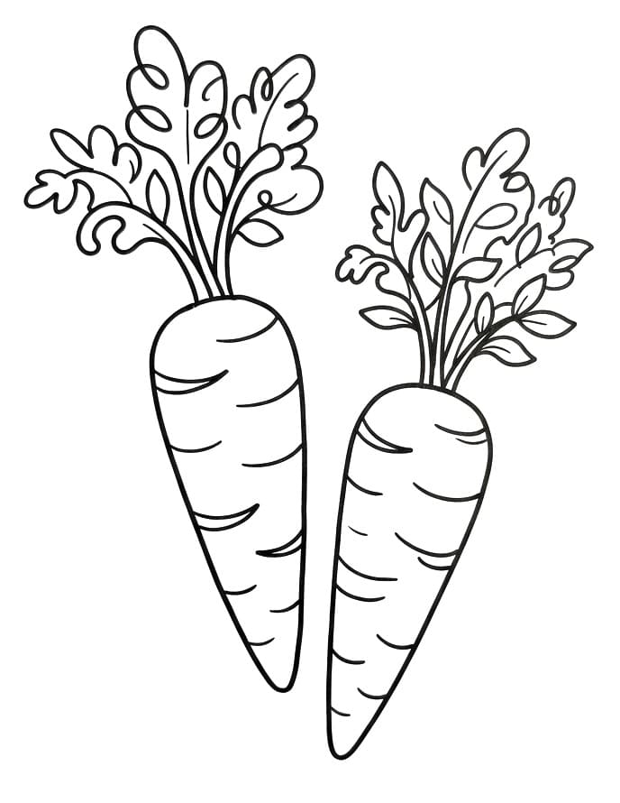 Twee wortels