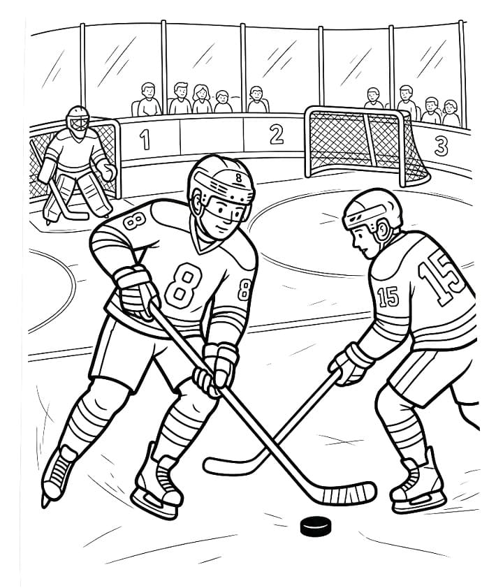 Verbazingwekkend IJshockey