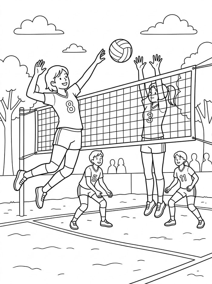 Verbazingwekkend Volleybal