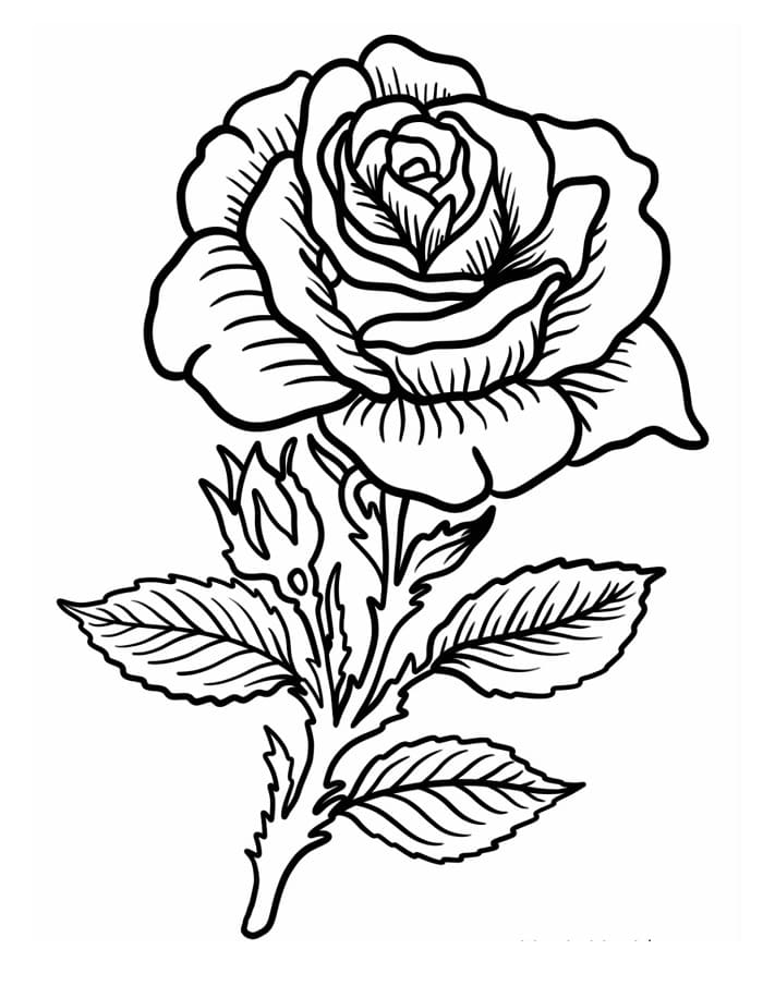 Verbazingwekkende Tatoeage