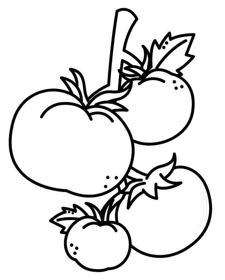 Vier tomaten
