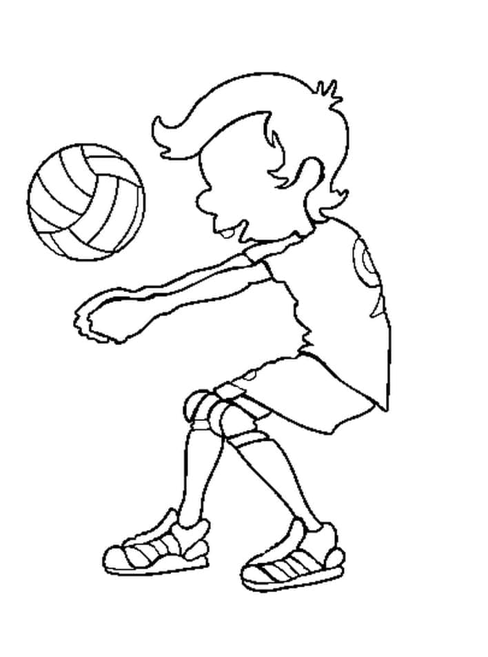 Volleybal Afbeelding