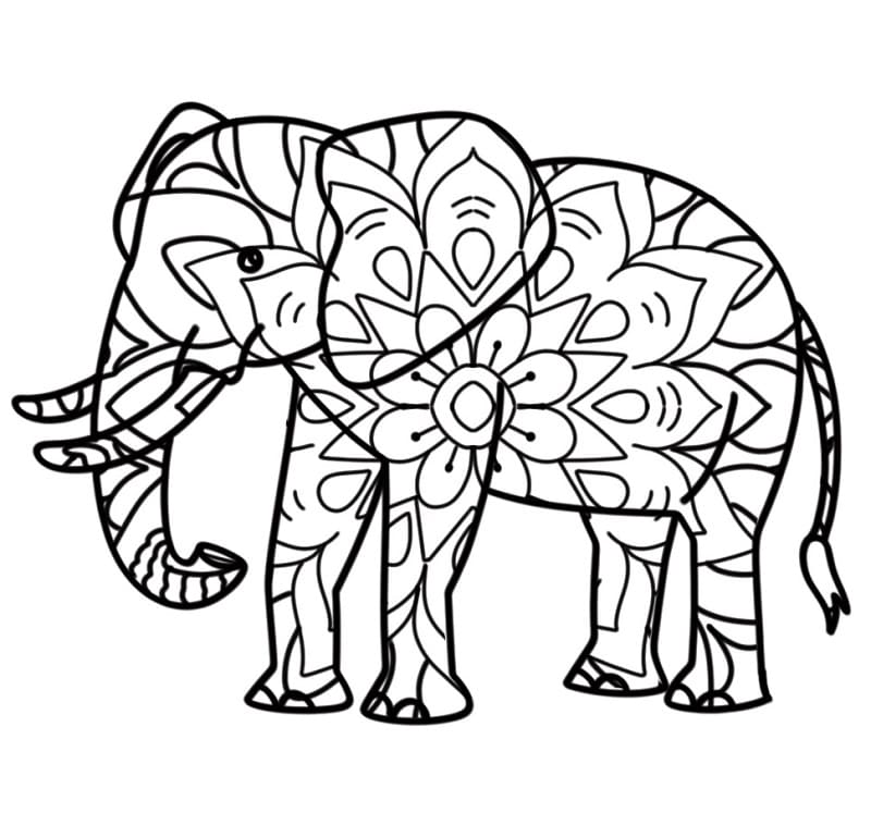 Wonderlijke Dieren Mandala
