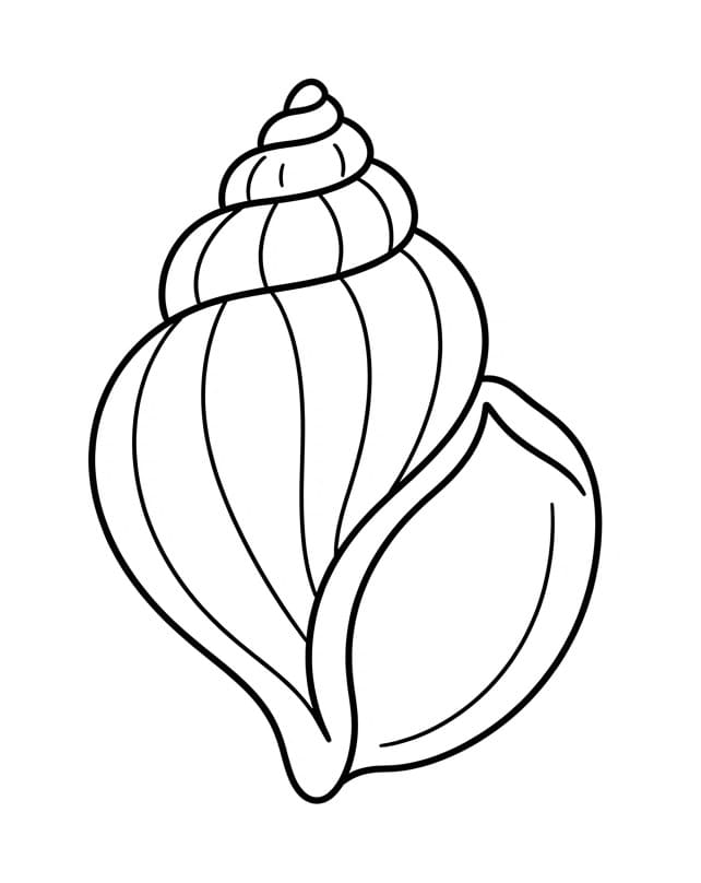 Zeeschelp (7)