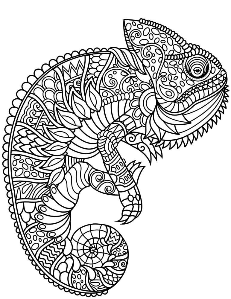 Zentangle Zonder Kosten