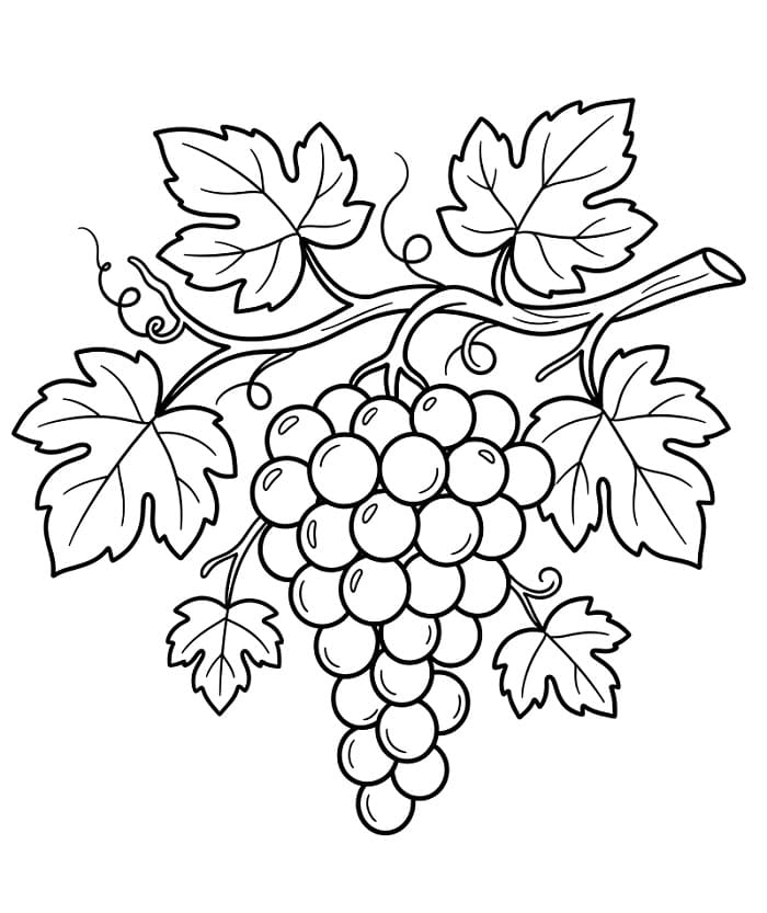 Zoete druiven