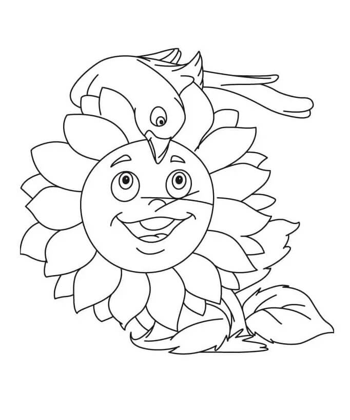 Zonnebloem 1