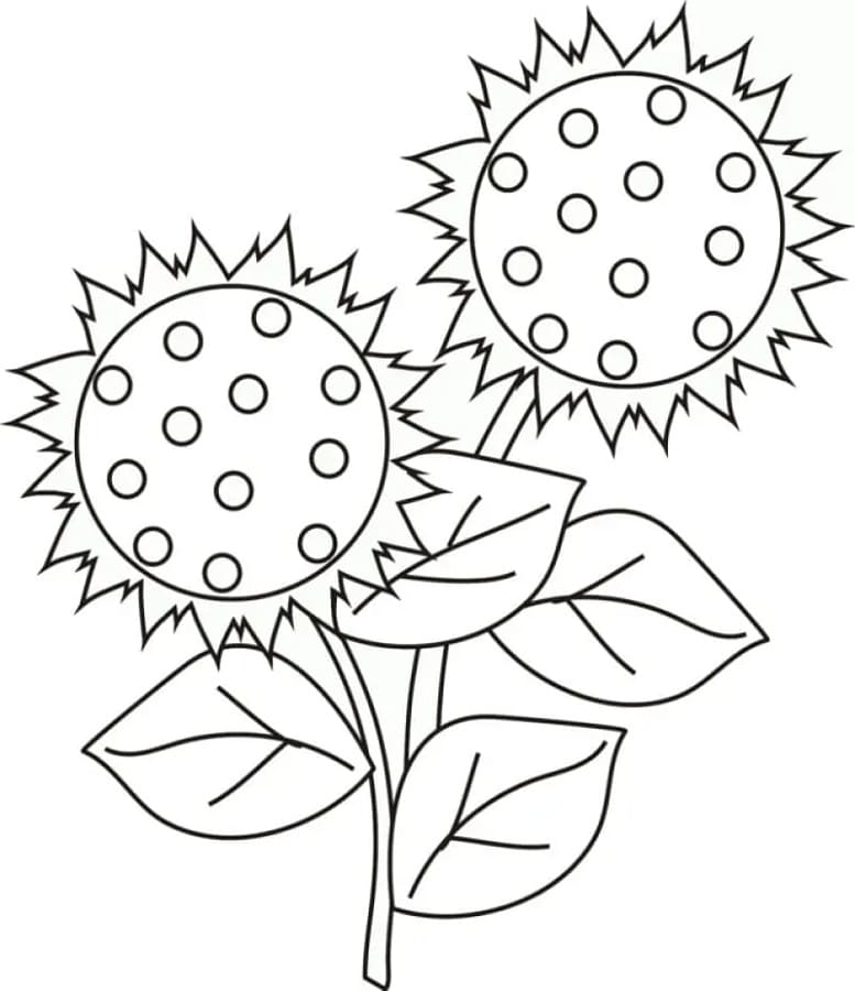 Zonnebloem gratis te printen