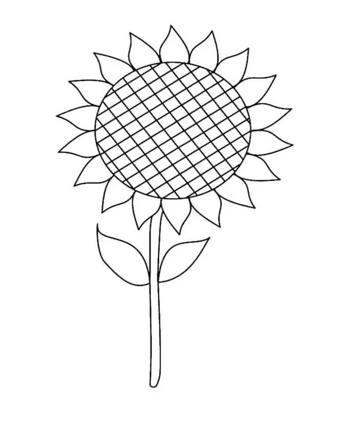Zonnebloem voor kinderen van 1 jaar