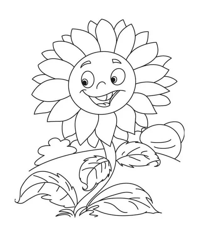 Zonnebloem voor kinderen van 2 jaar
