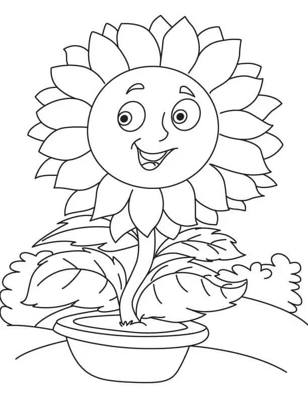 Zonnebloem voor kinderen van 6 jaar
